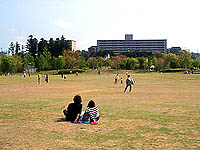 七北田公園風景